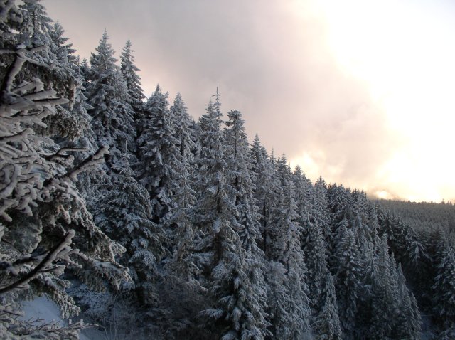 11.27.05 Nesmith Point 086 